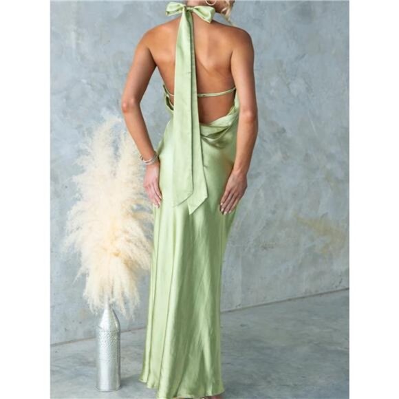 Backless Halter Neck Maxi Dress - Picture 15 of 15